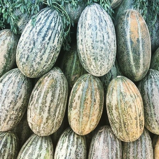 خربوزه لوبلایی و غزنی‌گک بلخ به بازار رسید