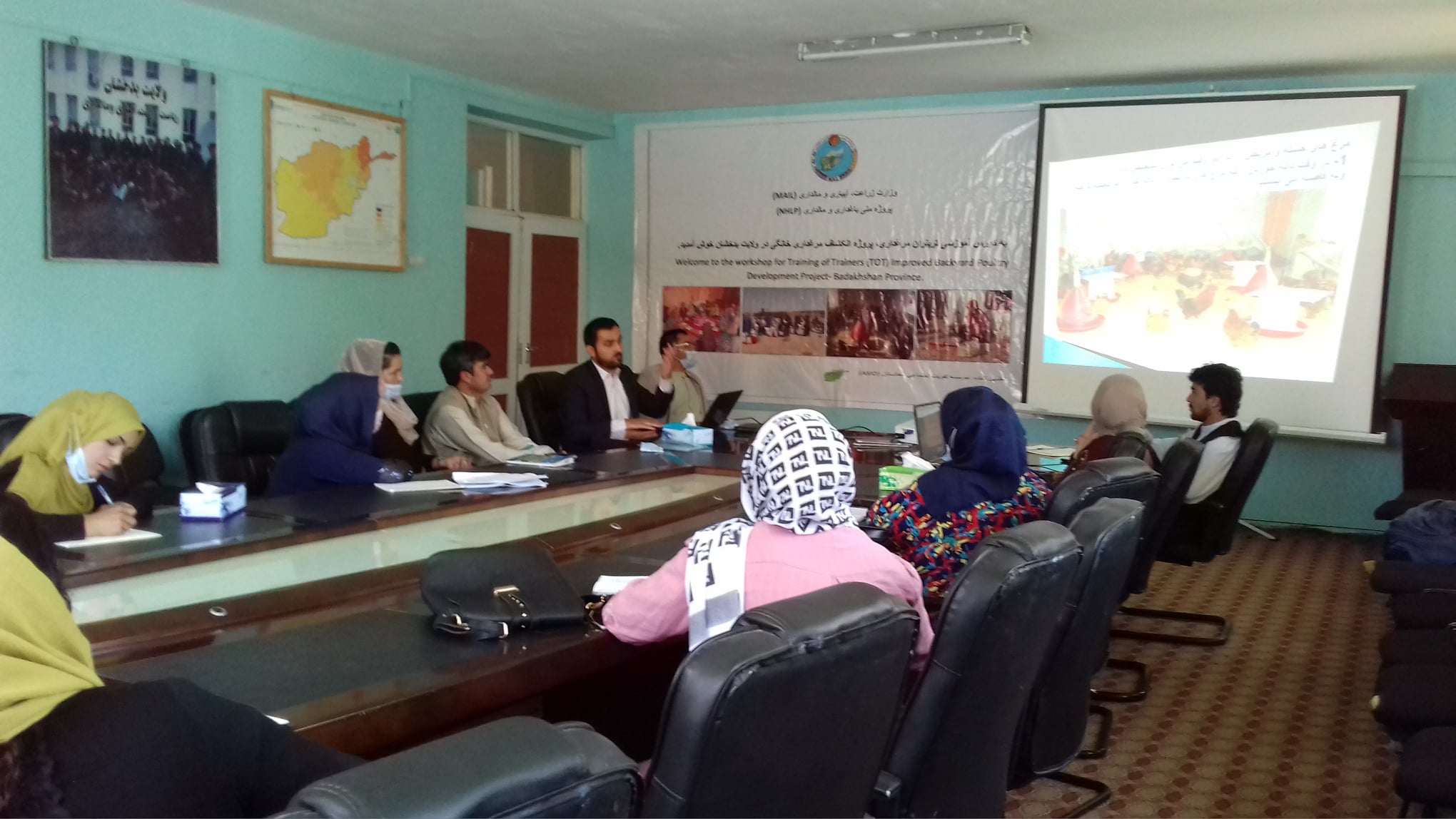 به یک هزار خانواده در چهار ولسوالی بدخشان بسته‌های مرغداری توزیع می‌شود