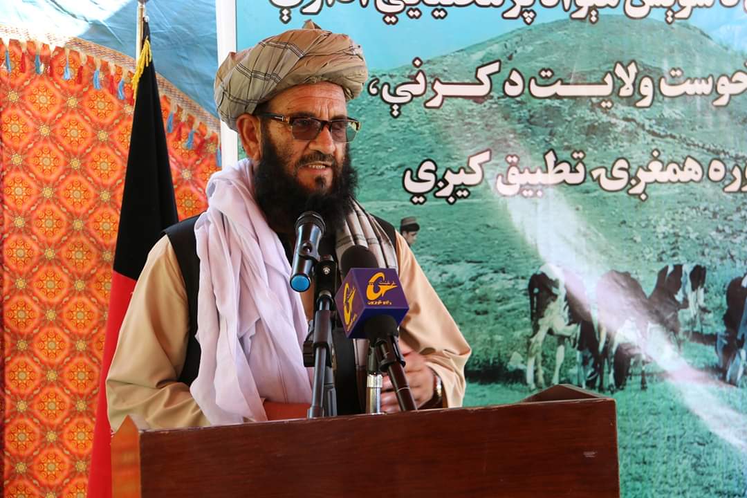 خوست کې ۳۲۵ بېوزله کورنیو ته څاروي ورکړل شوي دي