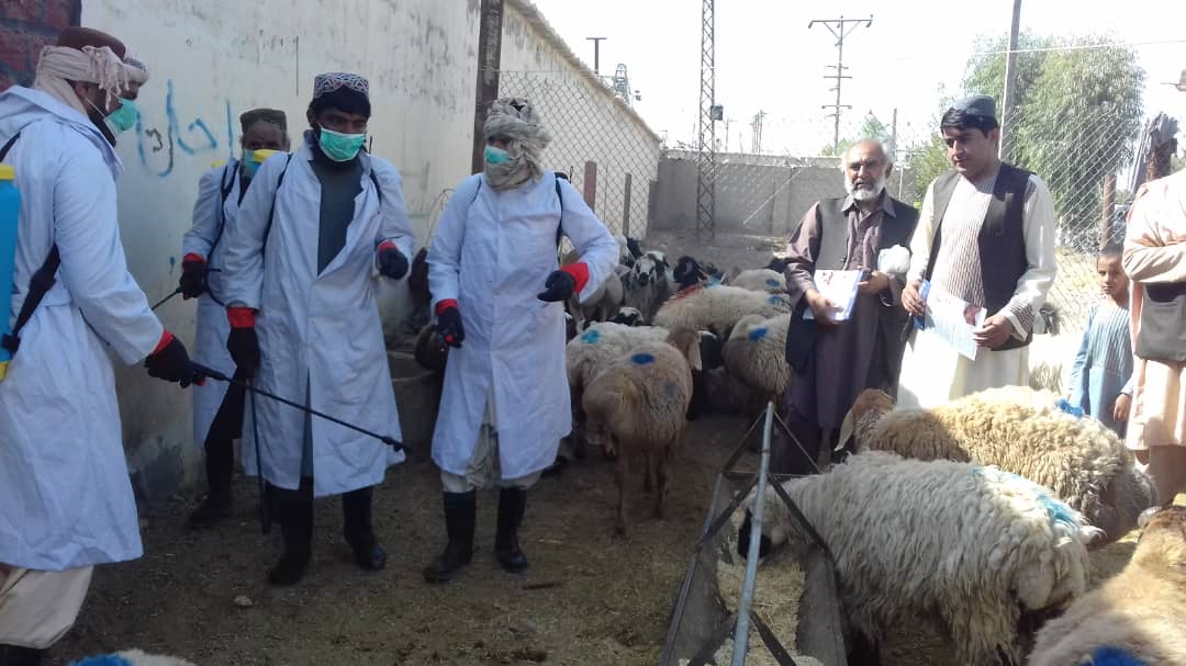 د لوی اختر په درشل کې د کانګو تبې د مخنیوي په پار یوشمېر ولایتونو کې کمپاین پیل شو