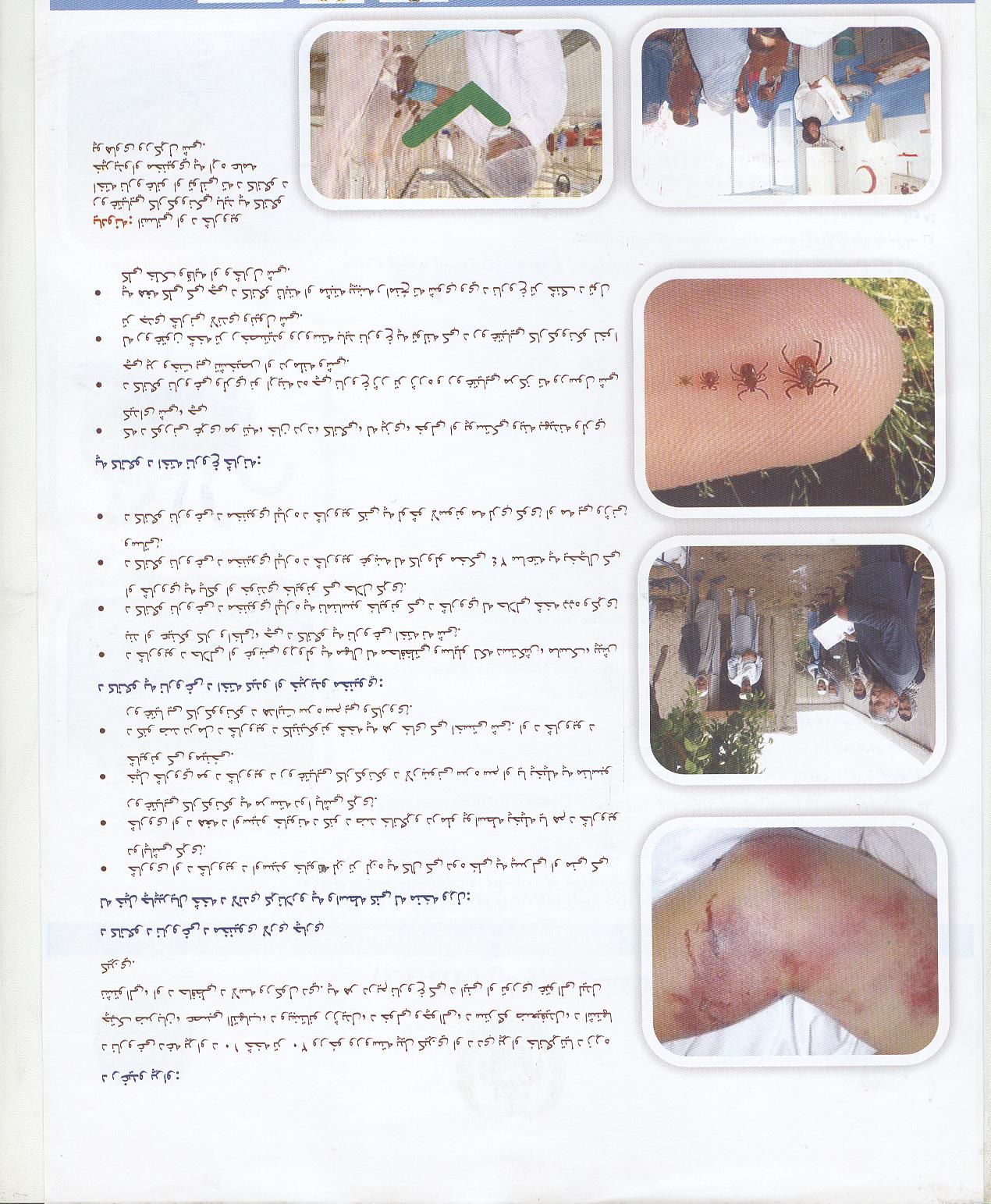 د کانګو ناروغی ( CCHF )