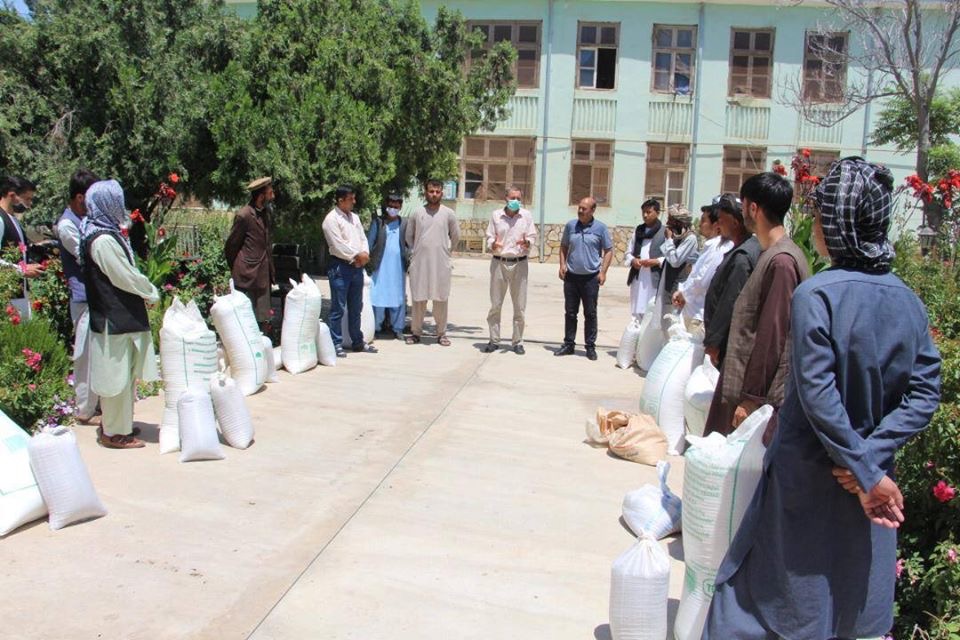 شانزده قطعه نمایشی کنجد در جوزجان ساخته میشود