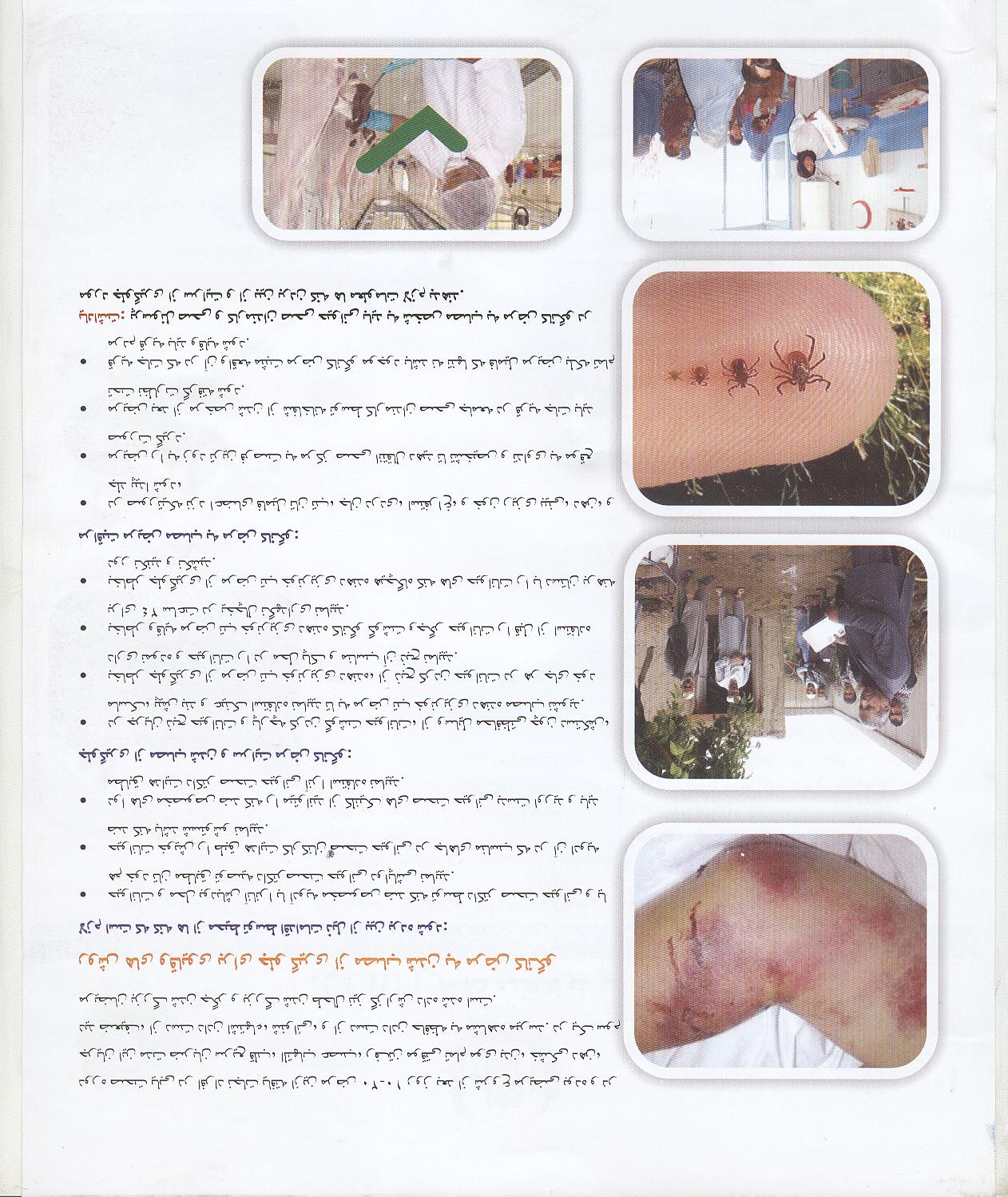 مرض تب خون‌دهنده کانگو