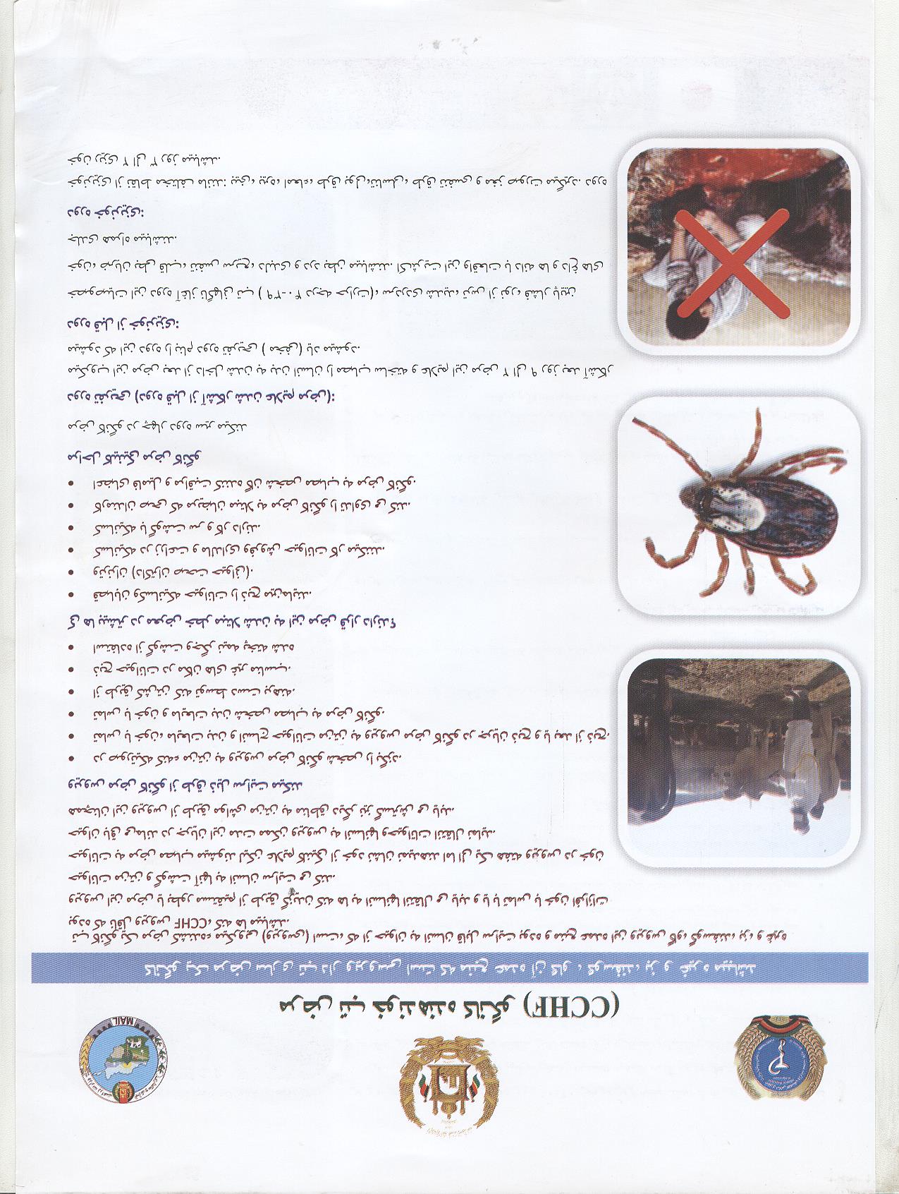 مرض تب خون‌دهنده کانگو