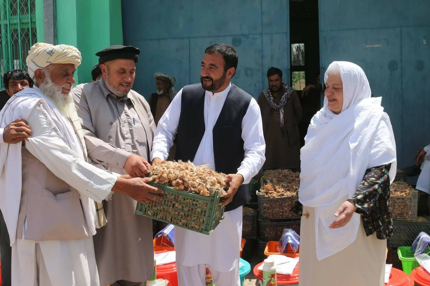 پکتیا کې د زعفرانو ننداریزو قطعو جوړولو په پار پر یوشمېر بزګرانو د زعفرانو پیاز ووېشل شو