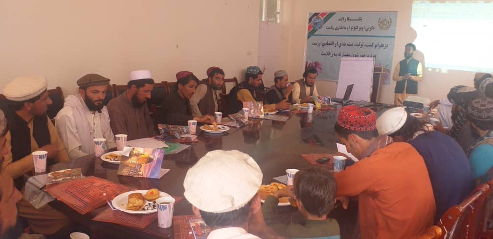 پکتیکا کې یوشمېر زعفرانکار بزګران وروزل شول