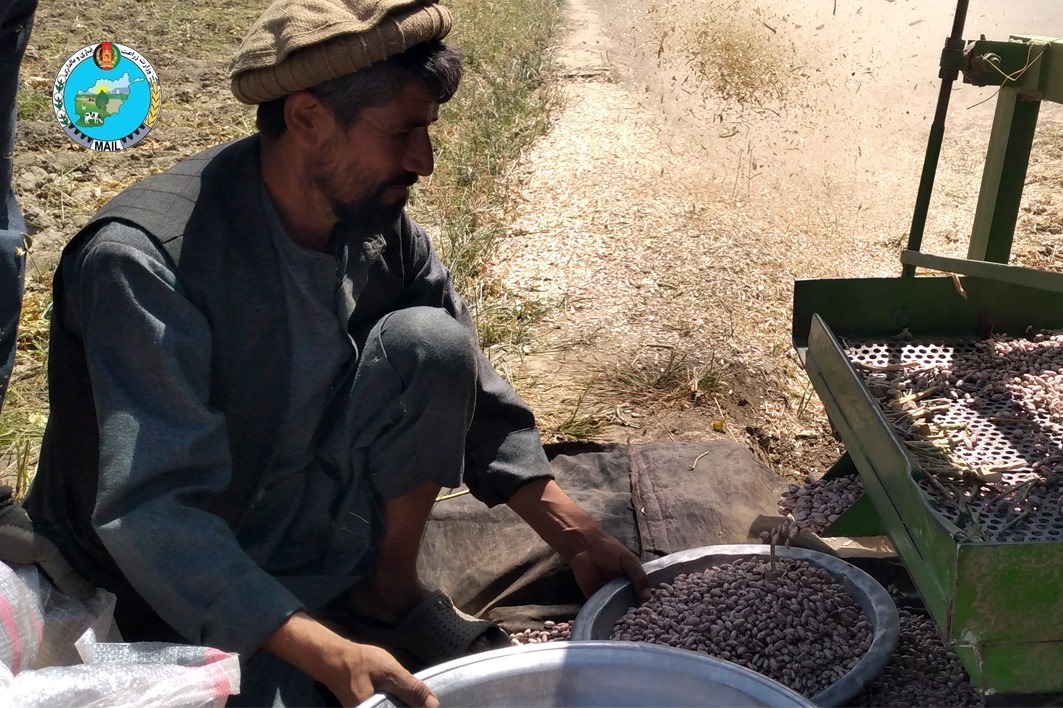 A Badakhshani farmer: Cultivation with new methods increased my yield by 45%