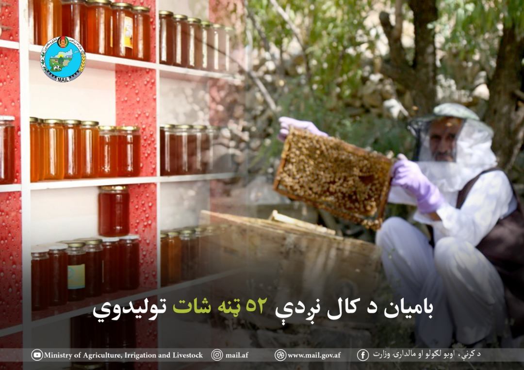 بامیان سالانه نزدیک به ۵۲ تُن عسل تولید میکند