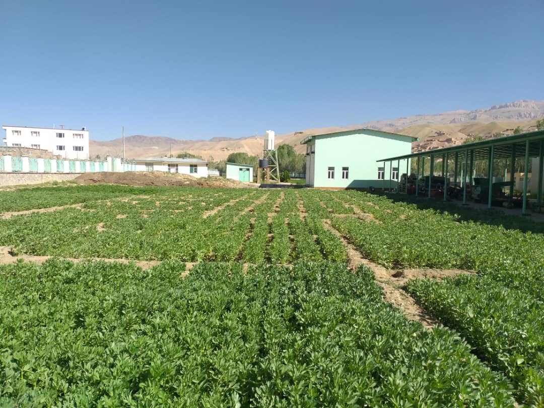 Mullaghulam Research Farm - Bamyan