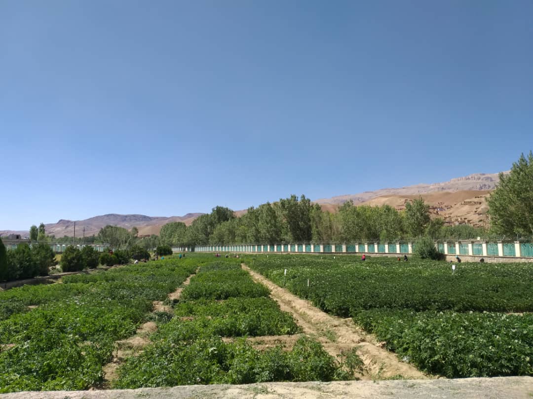 Mullaghulam Research Farm - Bamyan