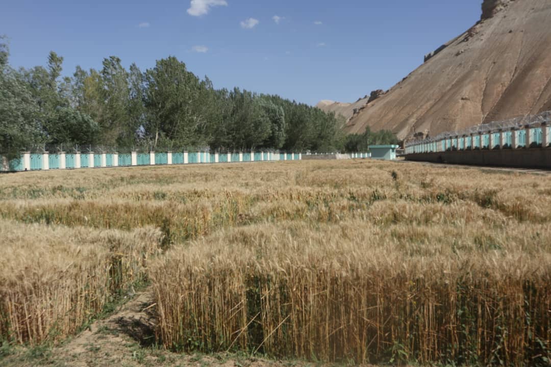 Mullaghulam Research Farm - Bamyan