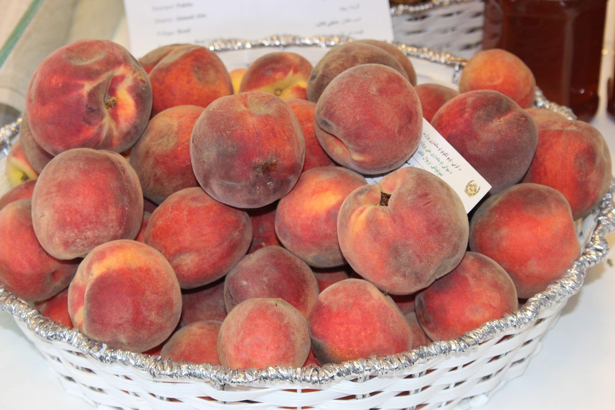 هېواد کې د شفتالو د حاصلاتو کچه لوړه شوې