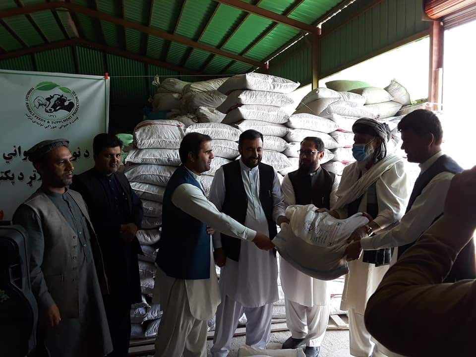 پکتیا کې پر یوشمېر بزګرانو اصلاح شوي تخمونه وېشل شوي دي