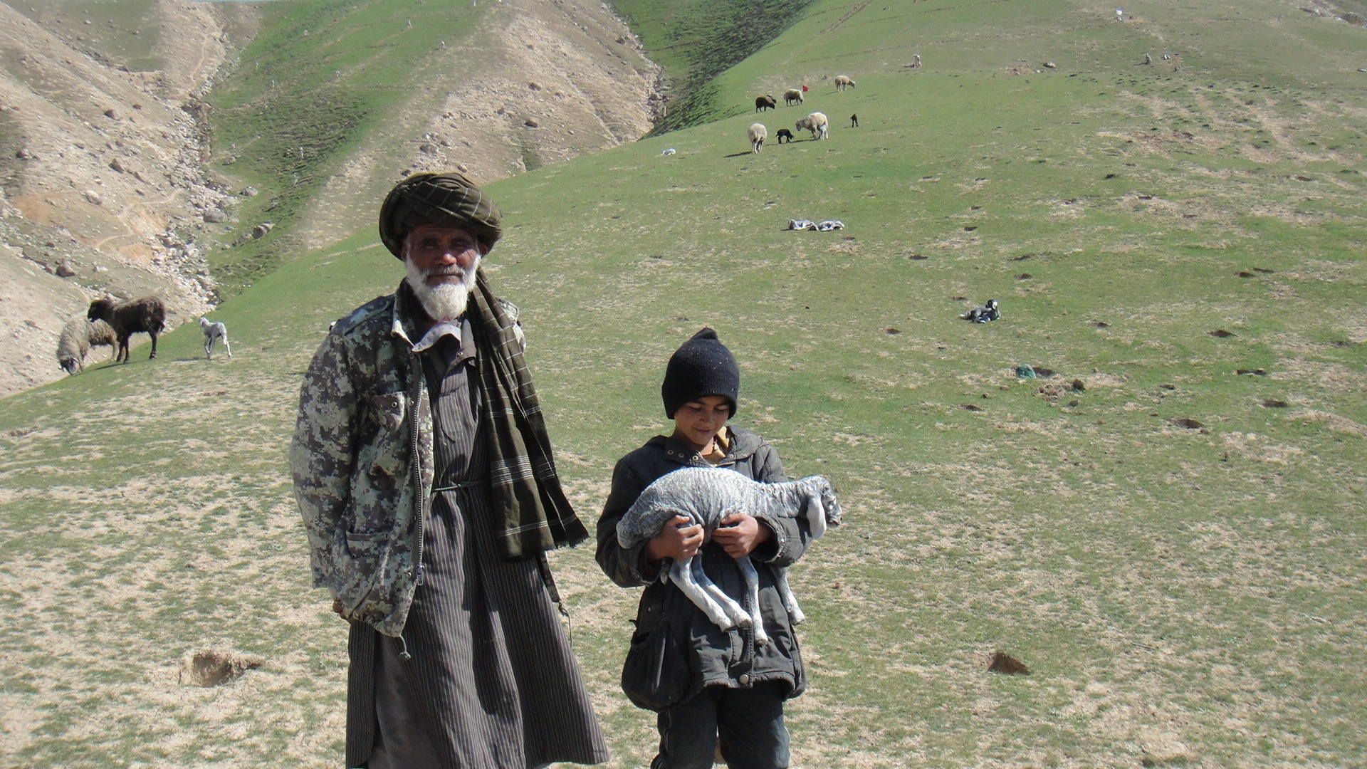 د څړځایونو د بیارغونې له لارې د مالدارۍ ودې ته زمینه برابرول