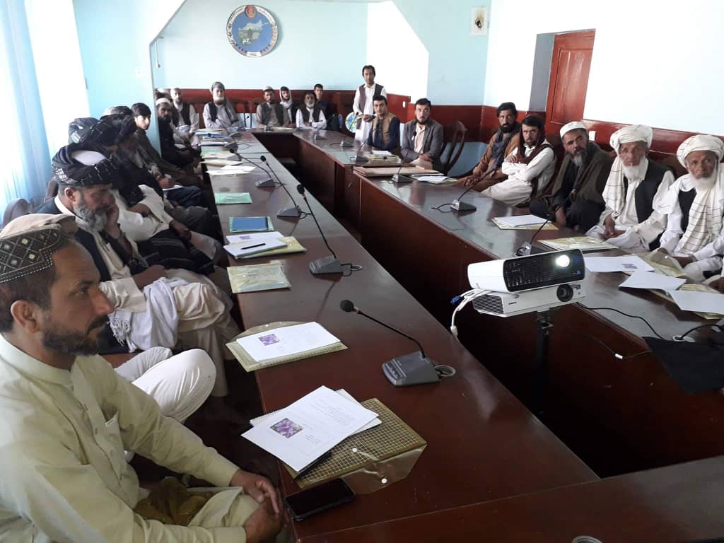 پکتیا کې یوشمېر زعفران کار بزګران وروزل شول