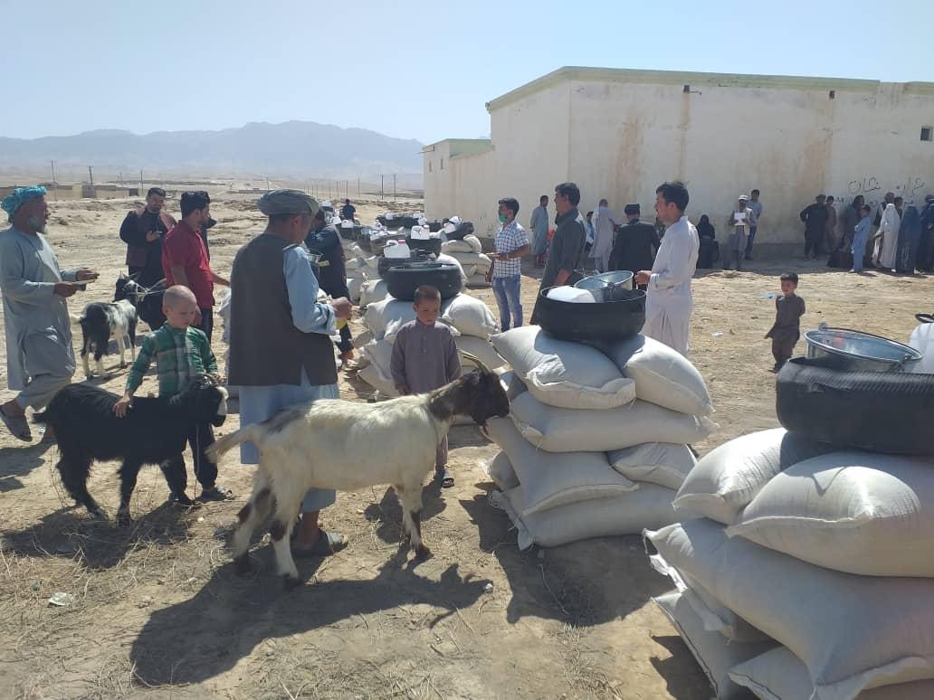 به ۱۷۰ خانواده در بلخ ۳۴۰ بز شیری توزیع شد