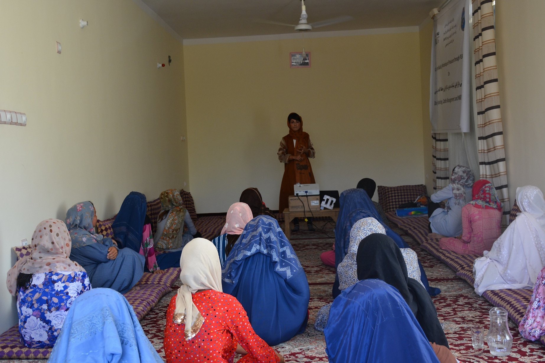 The Women’s Empowerment in Livestock: 110 women Earn Technical livestock skills in Balkh