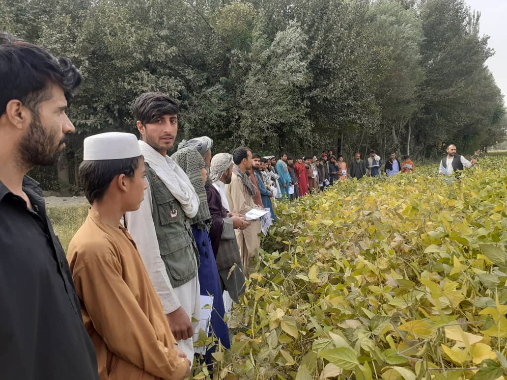 65 Soybean workers were trained new skills in Baghlan Province