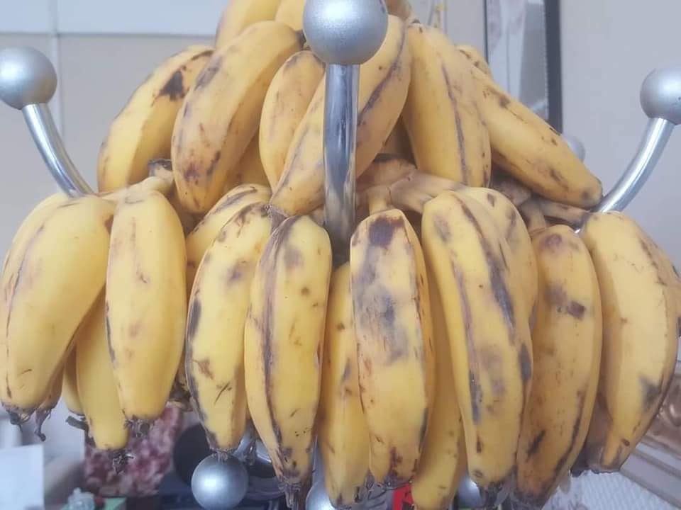 د هلمند دکرنې ریاست په دې ولایت کې د کېلې کرکېله دود کړئ دی، چې ښې پایلې لري.