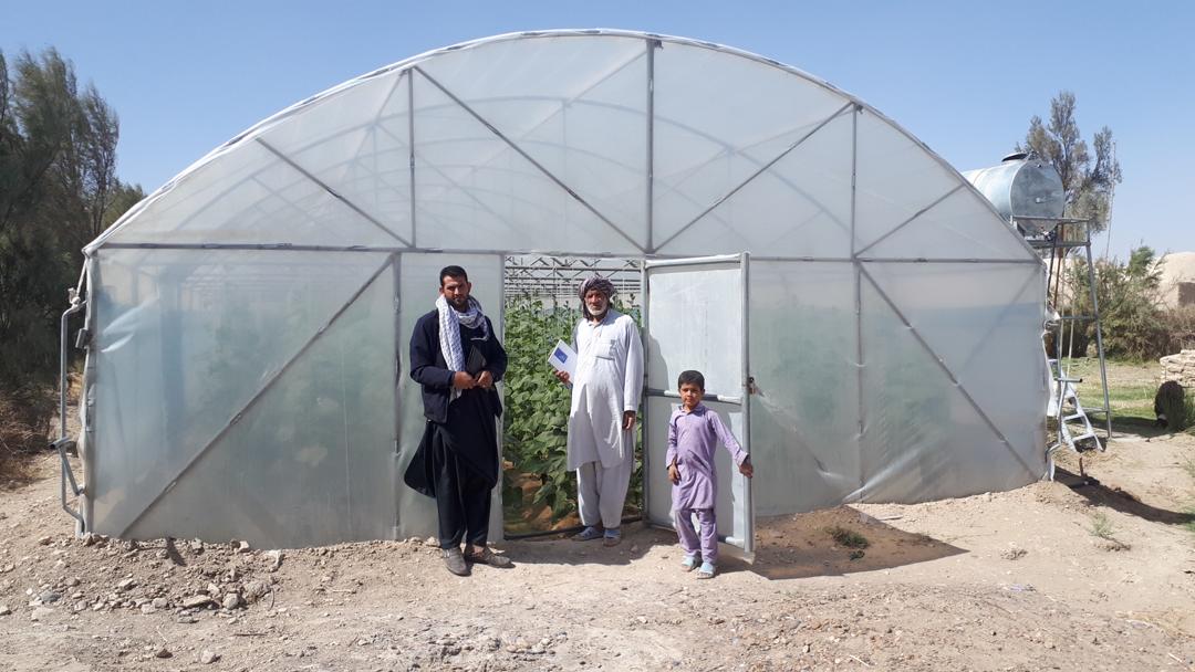 GreenHouse's  Crops in Nimroz province