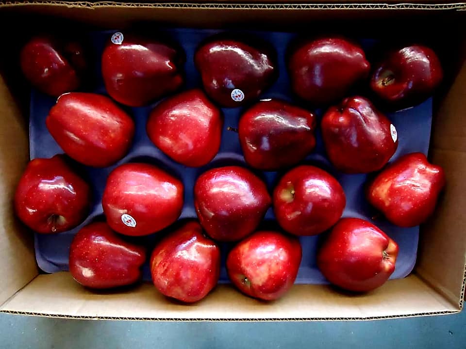 Apple's Crop in Nerkh district of Maidan Wardak