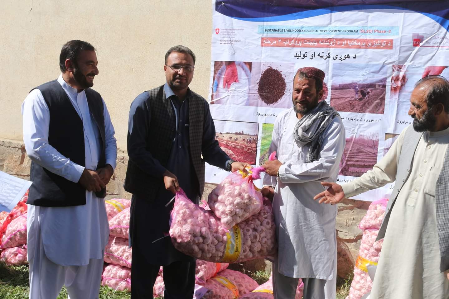 پکتیا کې په څه باندې ۶۰ بزګرانو د هوږې تخم وېشل شوي دي