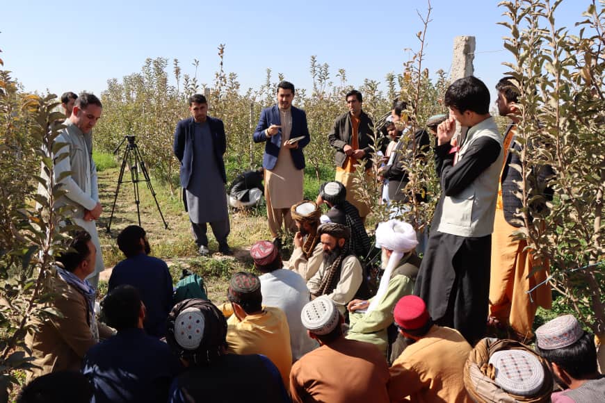 Leading Gardeners of Badghis Learned New Methods of Gardening in Herat