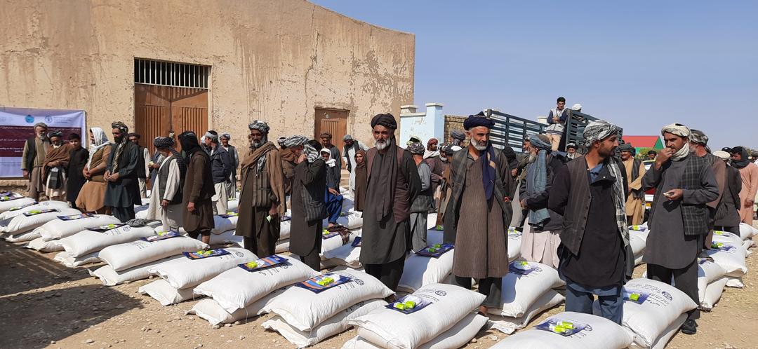 300 Nomadic Families received Animal Food in Balkh