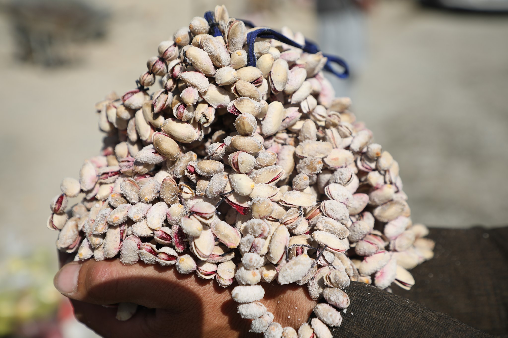 Badakhshan’s Pistachio Production Increased by 64 % Compared to Last Year