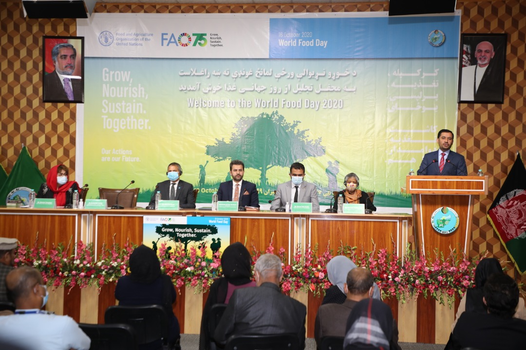 World Food Day celebrated at Ministry of Agriculture