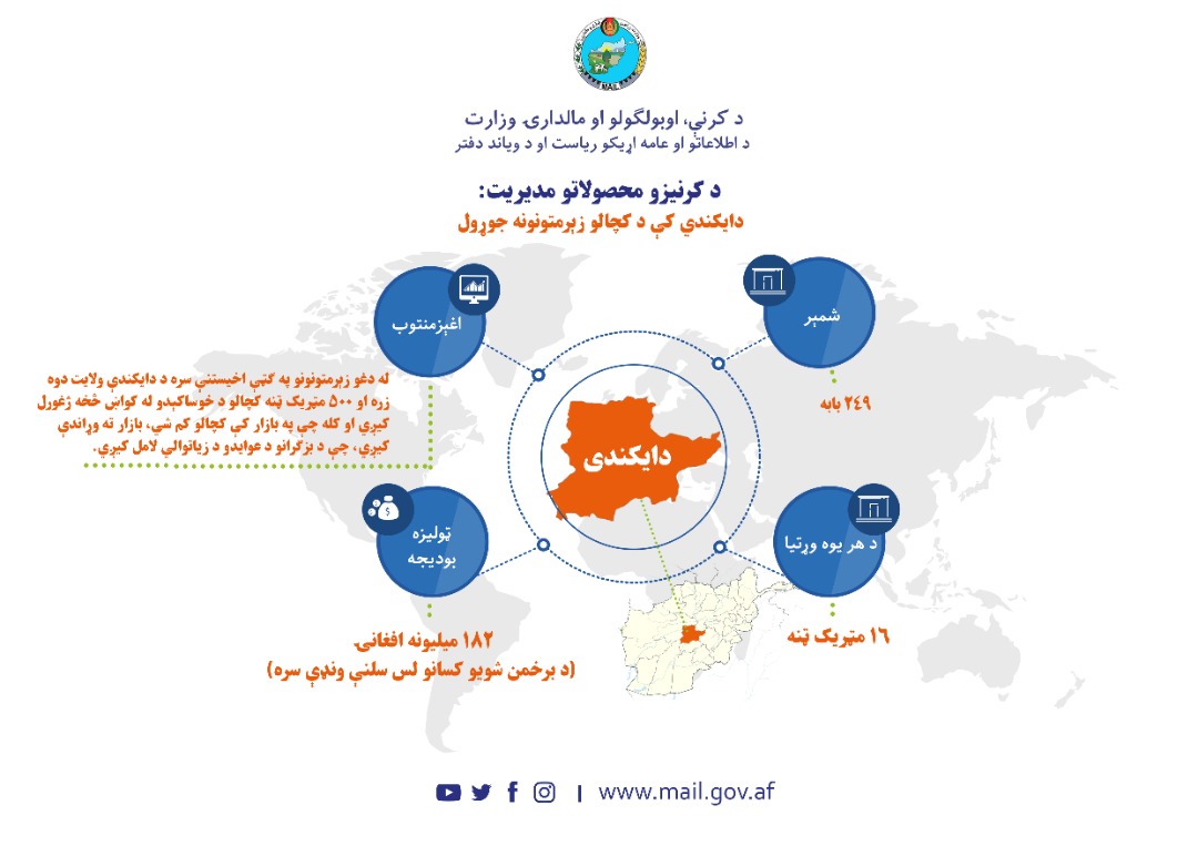 دایکندي کې د کچالوو د ټولو زېرمتونونو رغنیزې چارې به ډېر ژر بشپړ شي