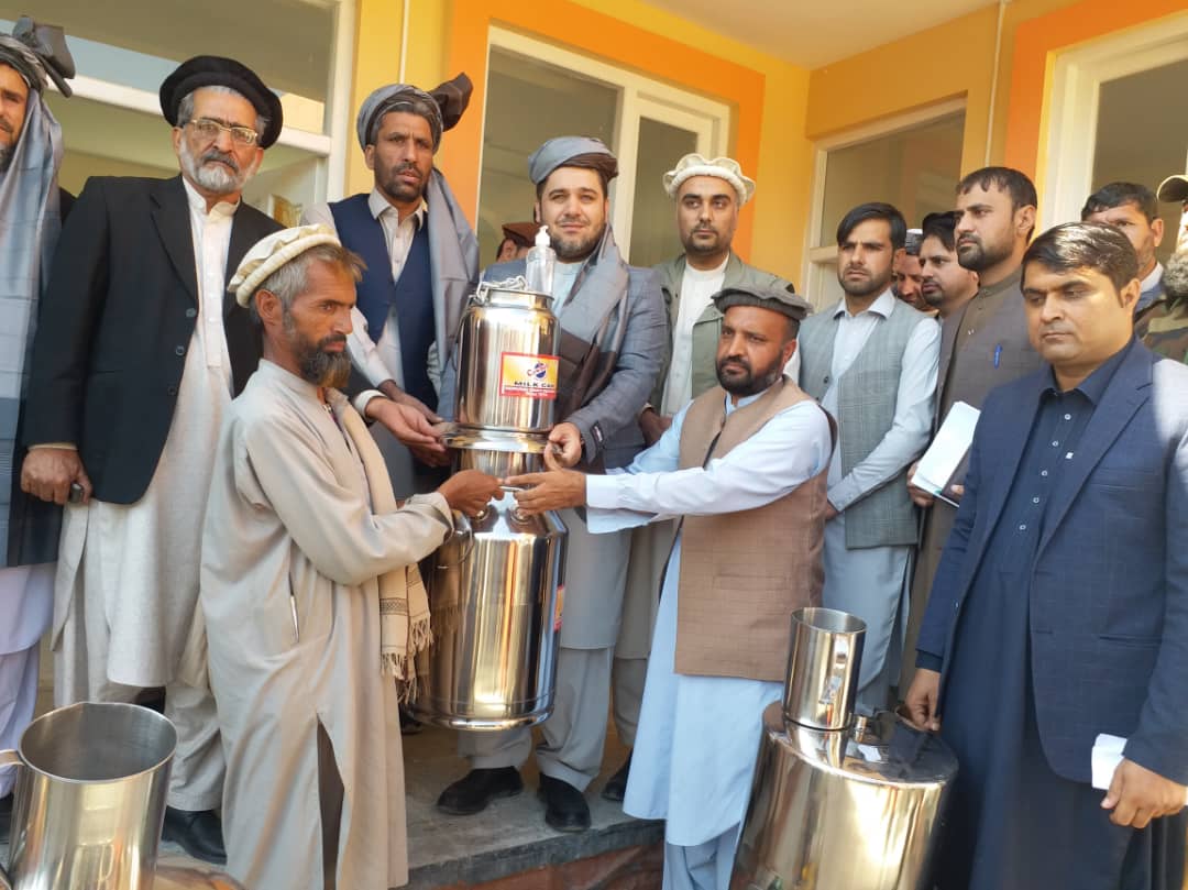 کونړ کې د شېدې ټولولو درې مرکزونه ګټې اخیستنې ته وسپارل شول