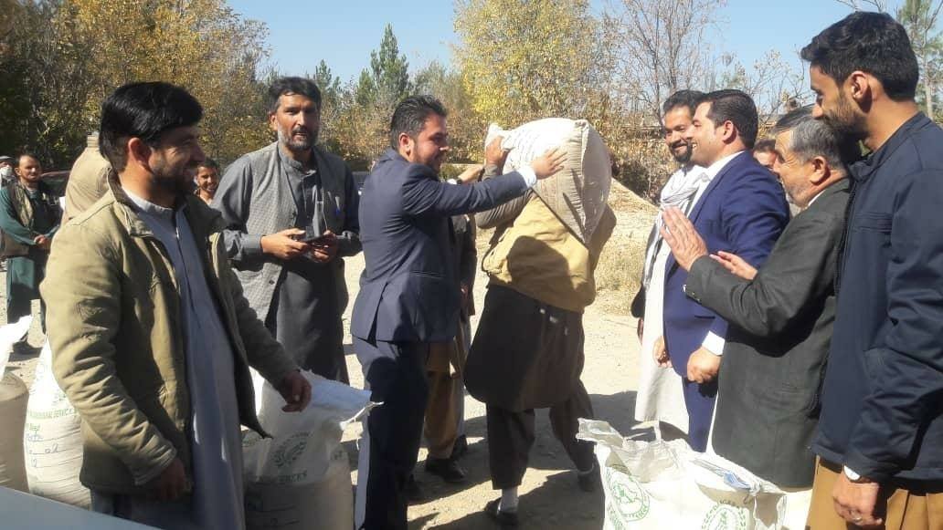 Distribution of modified Seeds to Farmers began in Kapisa