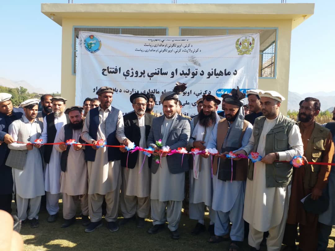 کونړ کې د کب روزنې ۲۰ سوداګریز فارمونه ګټې اخیستنې ته وسپارل شول