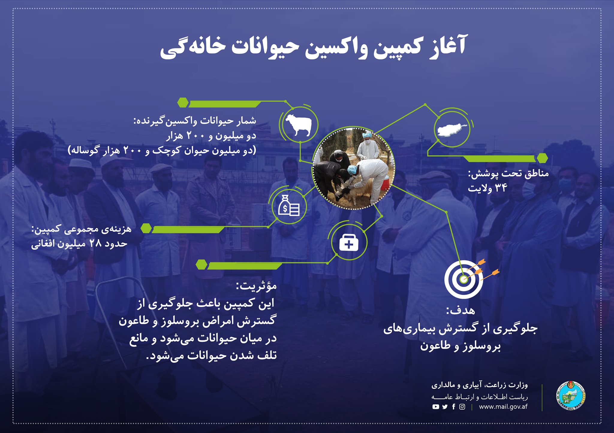 آغاز کمپین واکسین حیوانات خانگی