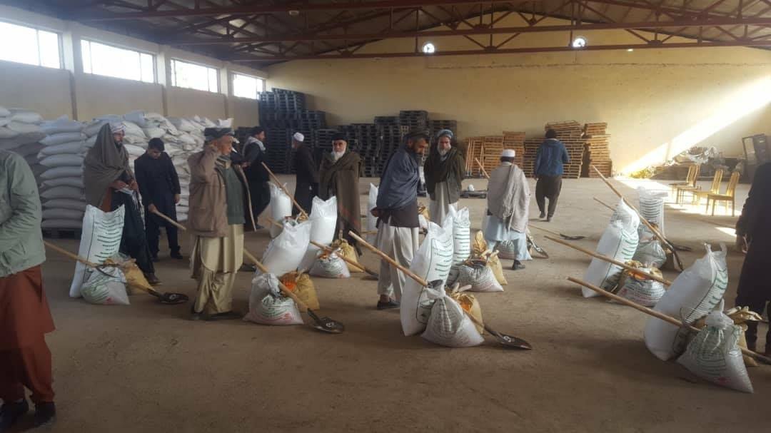 28 Demonstration Wheat farms are built in Kunduz