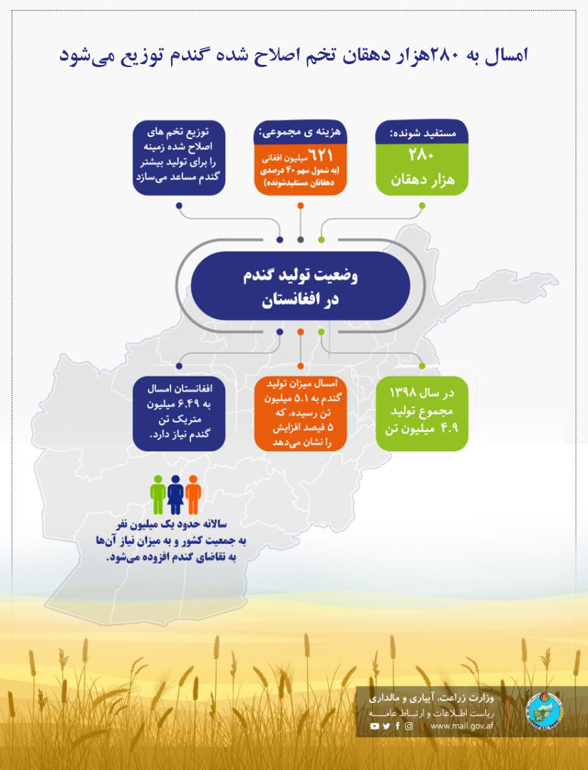 امسال به ۲۸۰هزار دهقان تخم اصلاح شده گندم توزیع می ‌شود