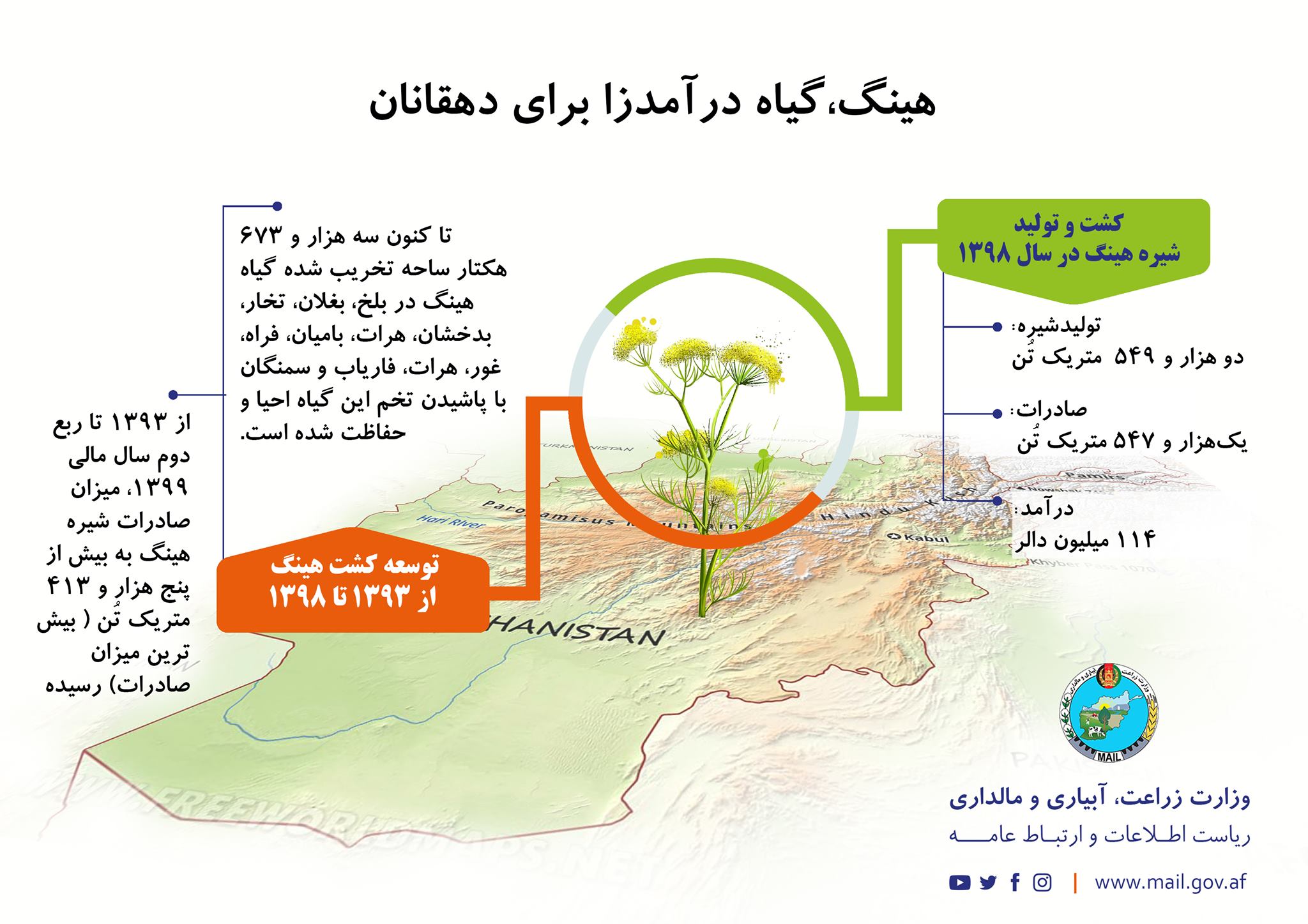 هینگ،گیاه درآمدزا برای دهقانان