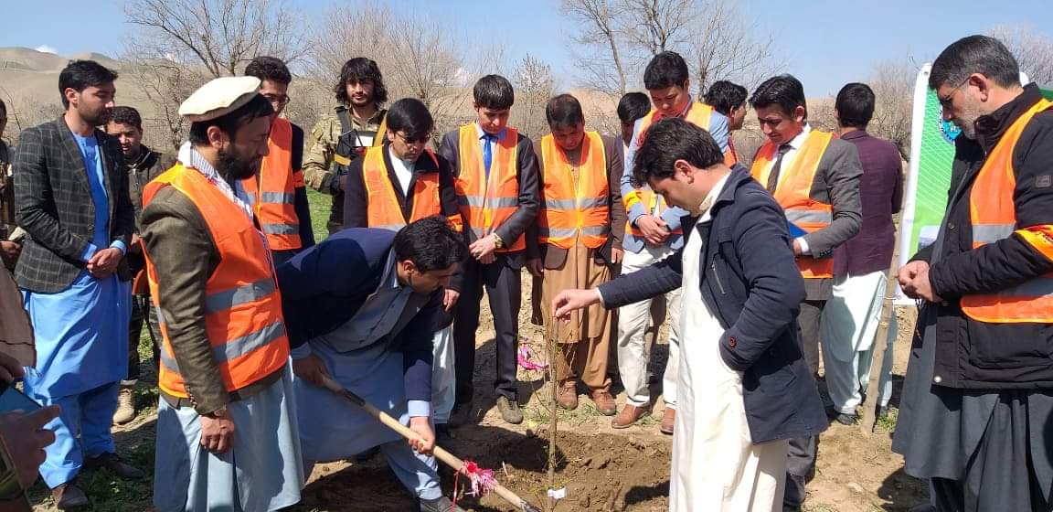 526 Hectares of Pistachio land have been constructed and rehabilitated in Badghis this Year