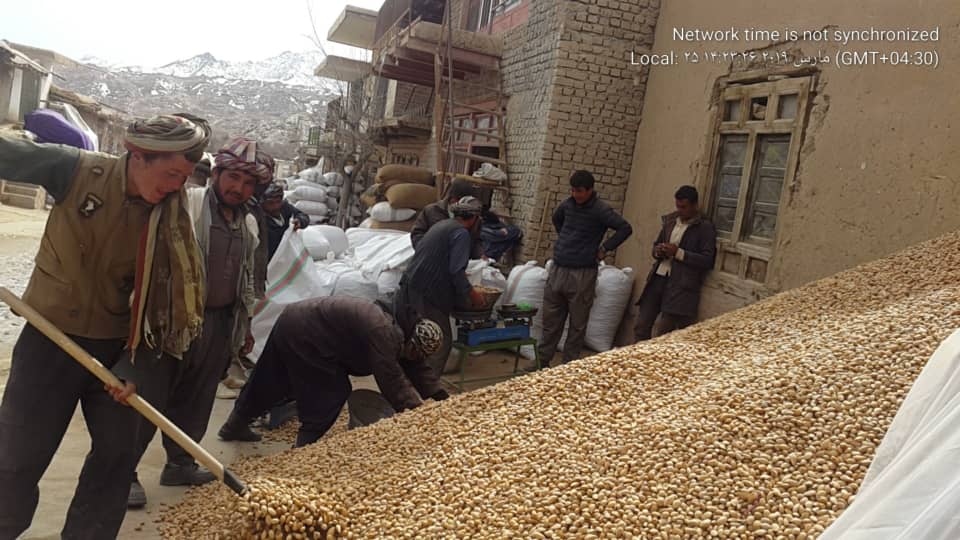 دایکندی با تولید ۲۴ نوع بادام، از بزرگ‌ترین تولیدکننده‌گان بادام به شمار می‌رود.