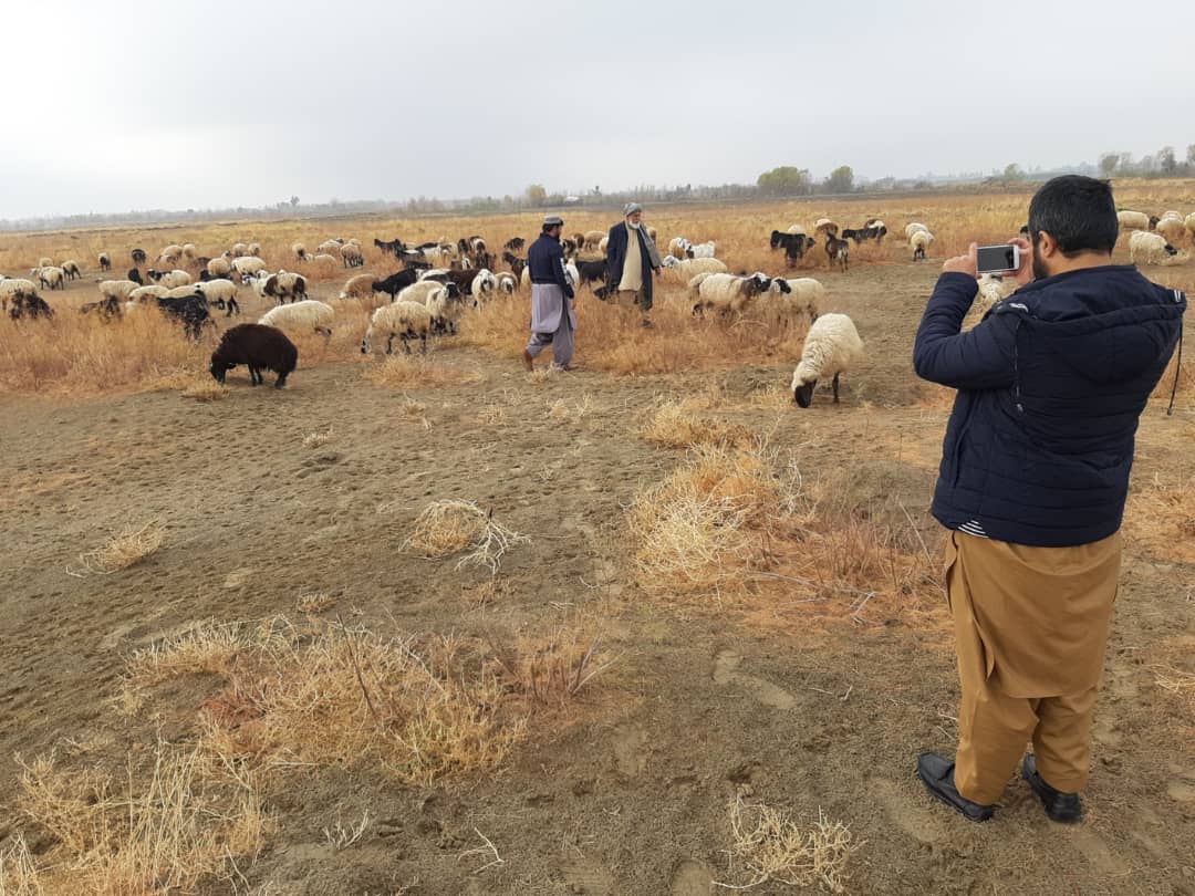 Reconstruction survey of Pastures begins in Helmand