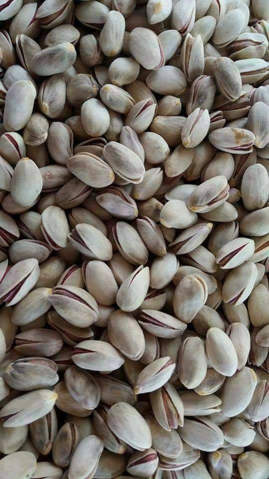 به روایت تصویر بادغیس، بیش‌ترین پسته‌زارها را دارد و بزرگ‌ترین تولیدکننده‌ی پسته در کشور است.