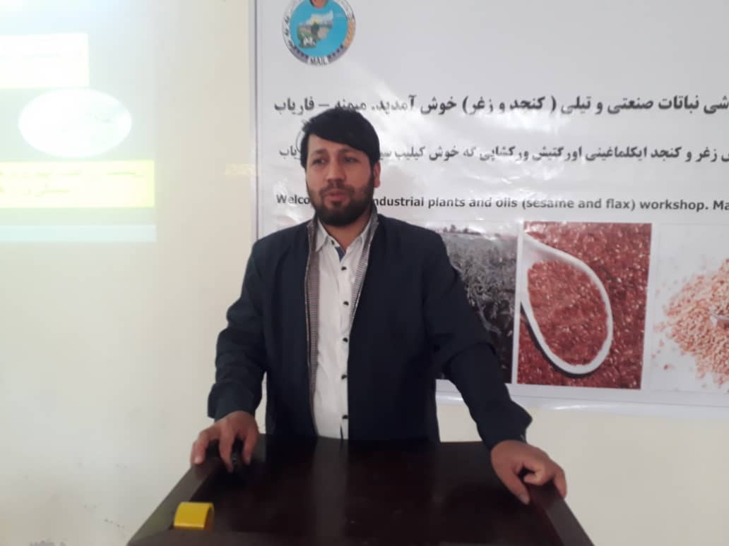 113 Sesame and Sorghum Farmers Received Training in Faryab