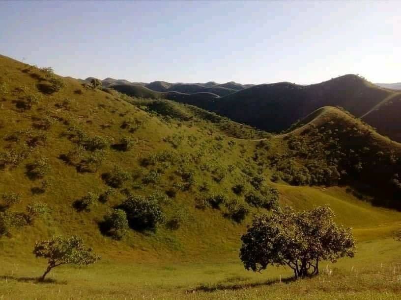 به روایت تصویر بادغیس، بیش‌ترین پسته‌زارها را دارد و بزرگ‌ترین تولیدکننده‌ی پسته در کشور است.