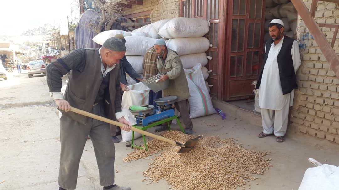 دایکندی با تولید ۲۴ نوع بادام، از بزرگ‌ترین تولیدکننده‌گان بادام به شمار می‌رود.