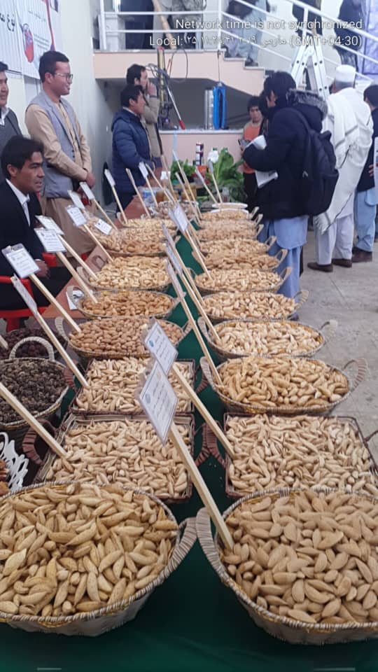 دایکندی با تولید ۲۴ نوع بادام، از بزرگ‌ترین تولیدکننده‌گان بادام به شمار می‌رود.