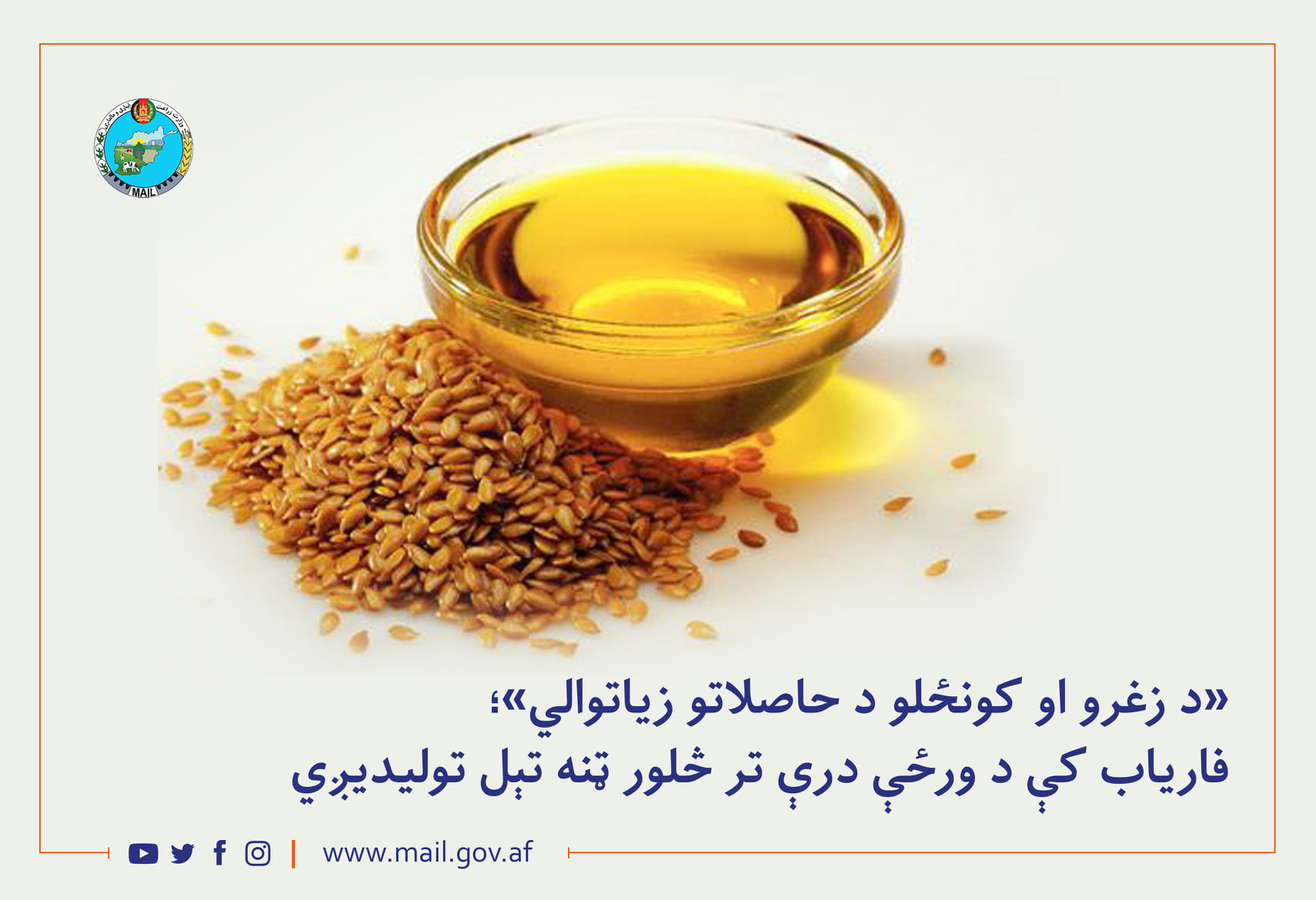 «د زغرو او کونځلو د حاصلاتو زیاتوالي»؛ فاریاب کې د ورځې درې تر څلور ټنه تېل تولیدیږي