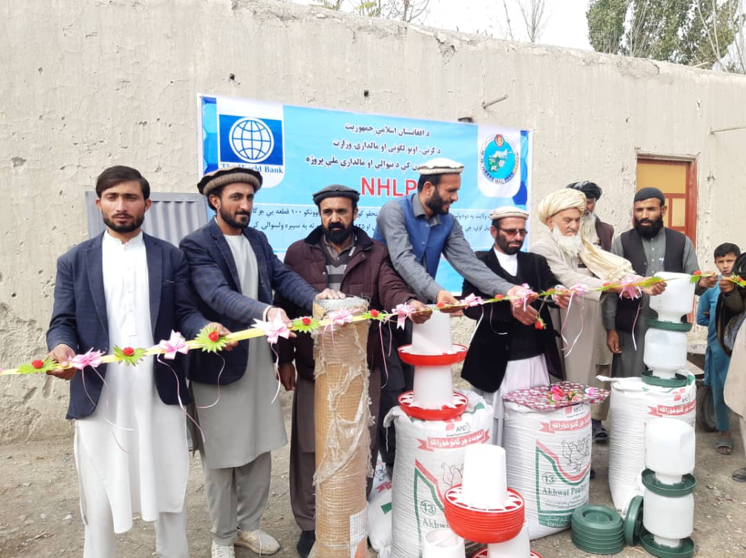 خوست کې د چرګانو روزنې او تولید صنعت مخ په غوړېدو دی