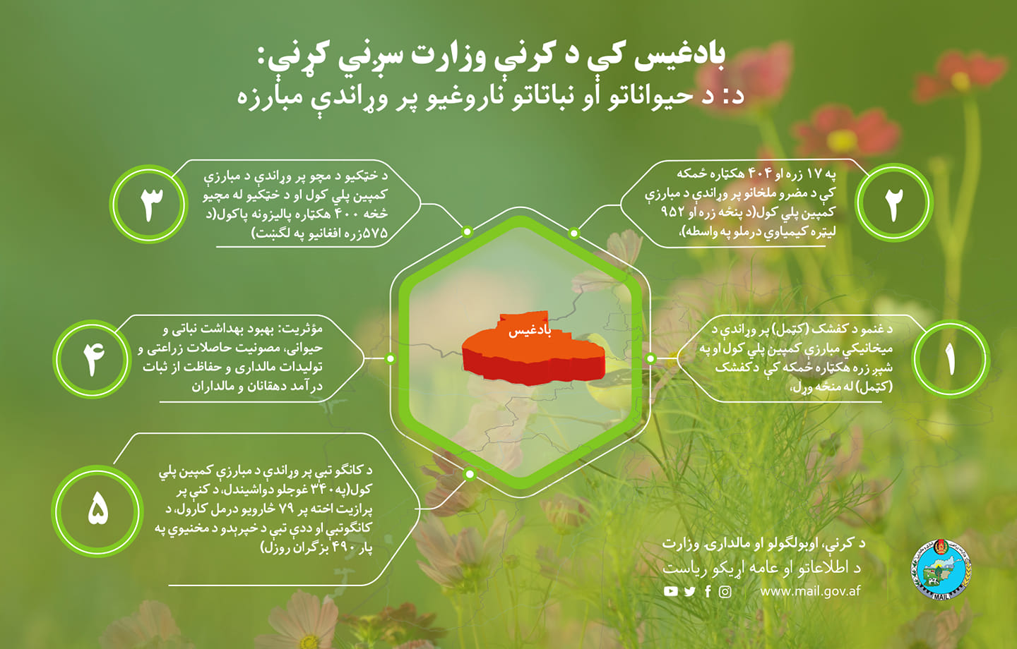 بادغیس کې د کرنې وزارت سږني کړنې