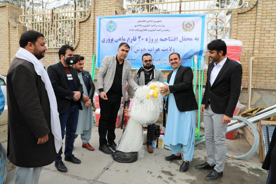 Herat Farmers Receive Fish Farming Packages